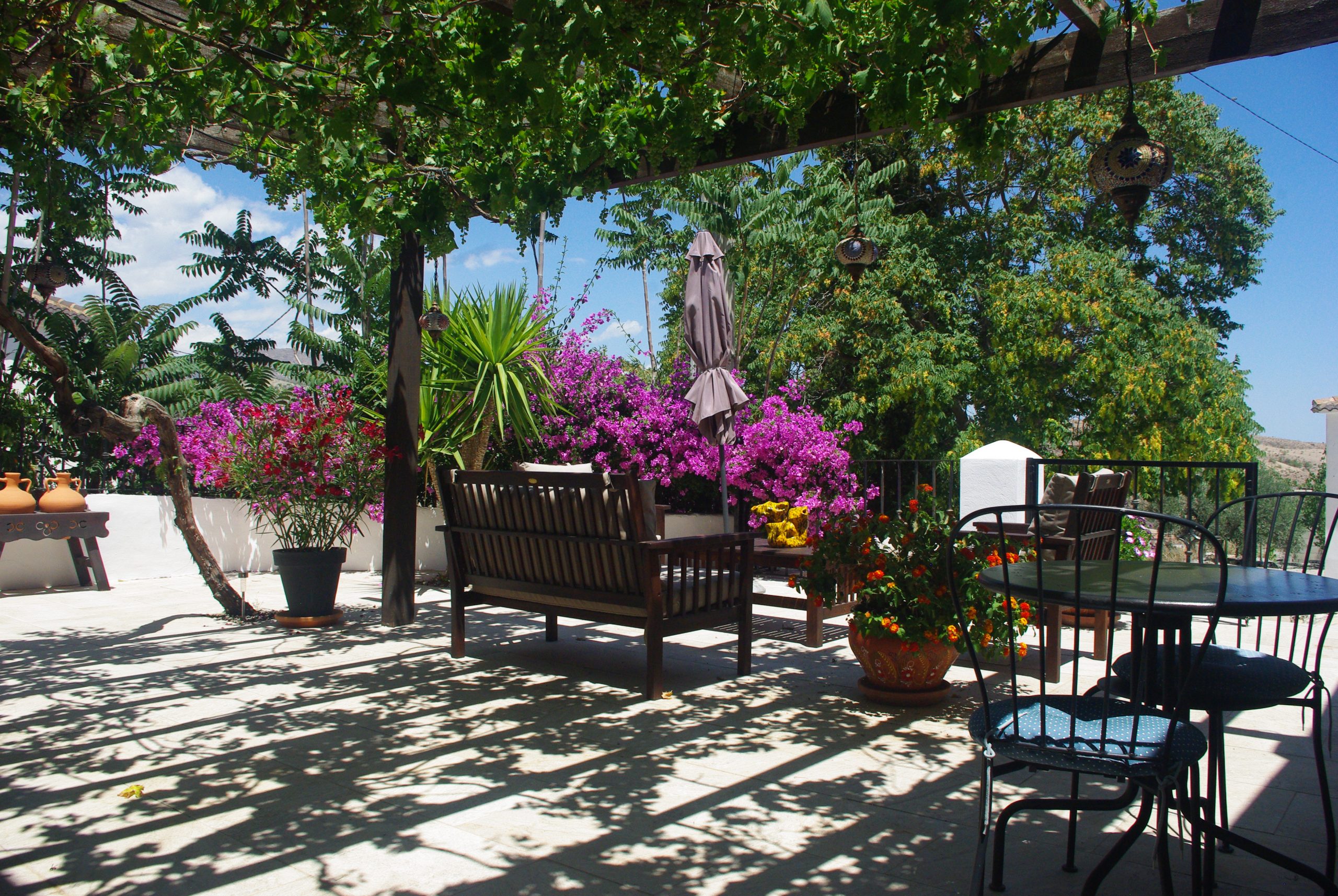 Main Terrace