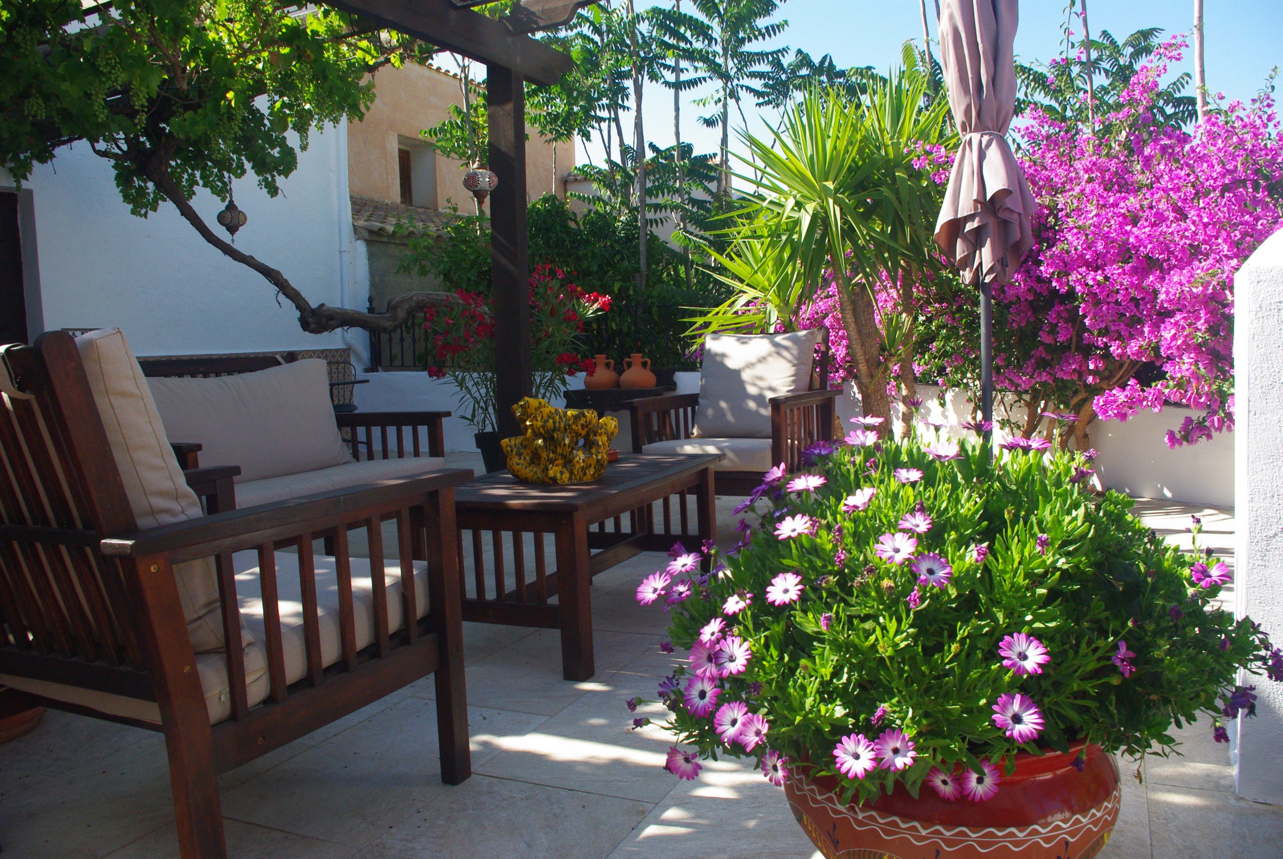 Main Terrace