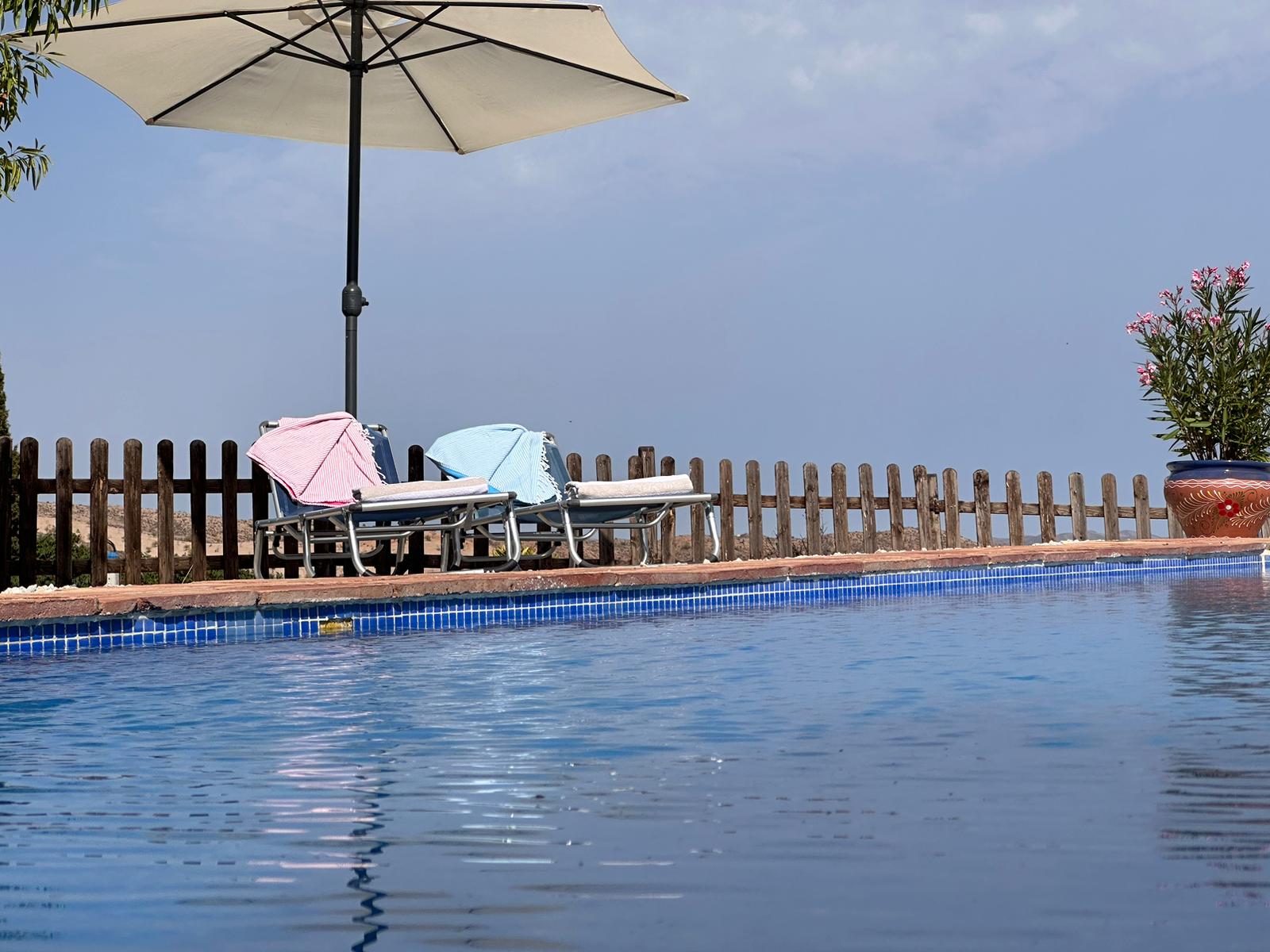 Pool and Umbrella