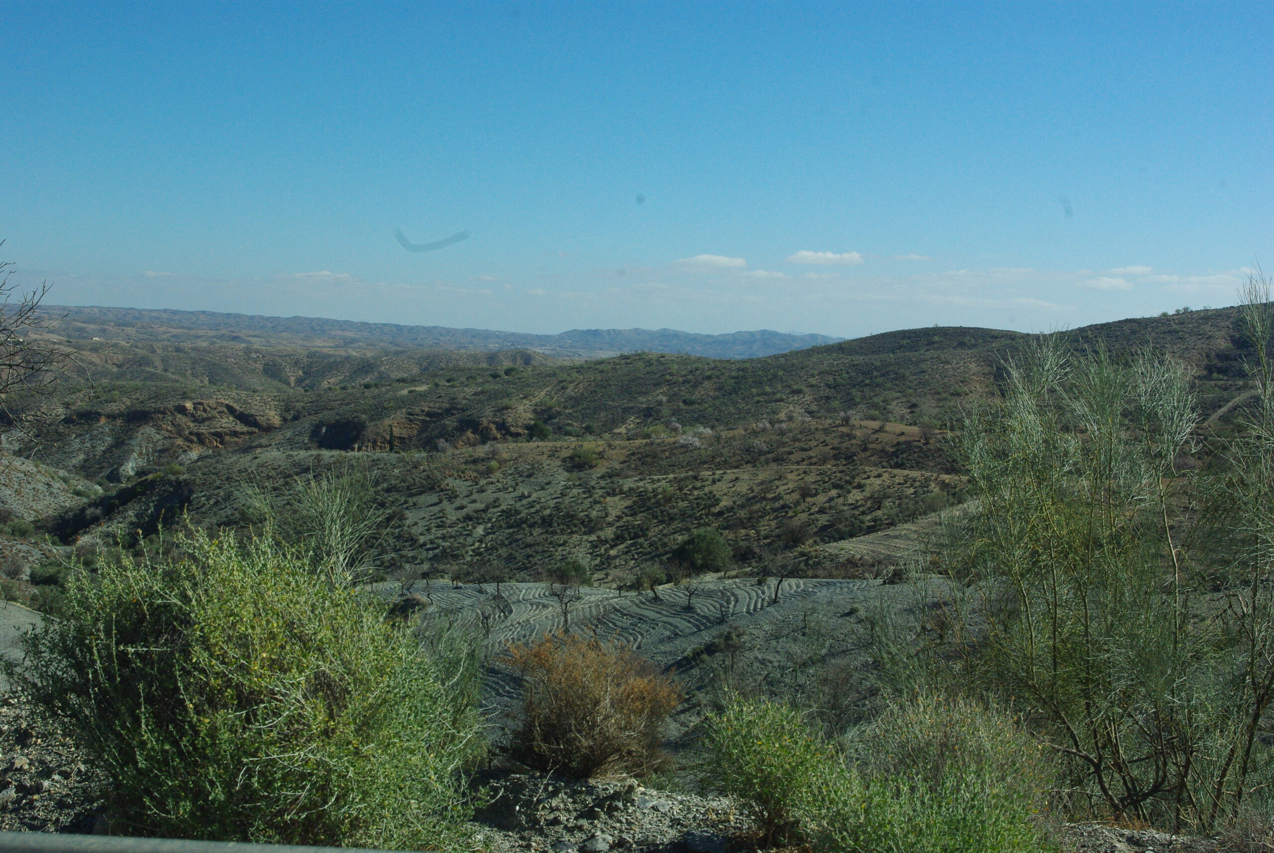 View From Top